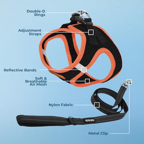 Image of Voyager Step-in Air All Weather Mesh Harness & Reflective Dog 5 ft Leash Combo, Neoprene Handle, for Small, Medium, Large Breed Puppies by Best Pet Supplies - Leash Harness (Black /Orange Trim), XL
