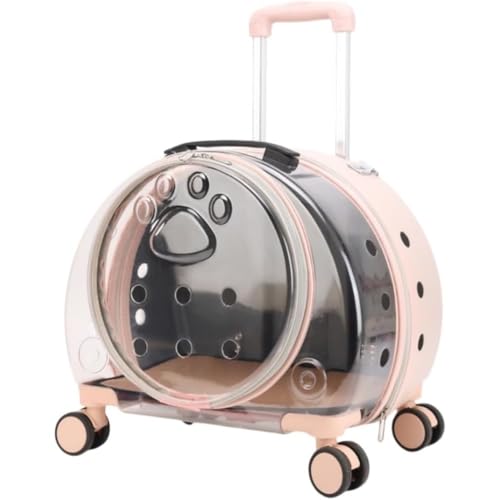 Sailozai VvőeʁA^щ\ȃybgLAANGCeBuȃybgobNpbNAFJvZpוB (CgsN)