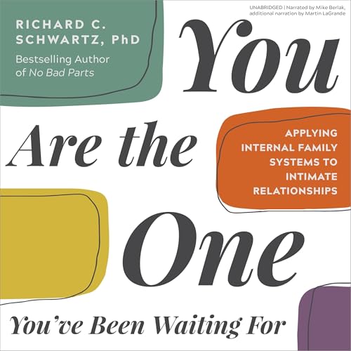 You Are the One You've Been Waiting For by Richard Schwartz Phd episode artwork