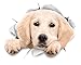 Winston & Bear Adesivi da Parete Cane Labrador Che Sbircia - Adesivi Cani 3D - 2 Confezioni - Frigorifero - Bagno - Camera - Automobile - Vendita al Dettaglio
