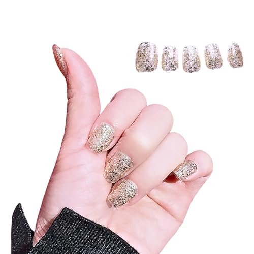 lC`bv V[g   i _ fUC SV[t JԂg P[XtZbg (Xp[NOS[h, M)