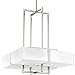 Progress Lighting P3968-09WB Dibs Collection 4-Light Foyer Pendant, Brushed Nickel
