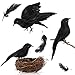 FuturePlusX Halloween Crows, 3-Style Realistic Handmade Crow with Glass Bird's Nest, Black Crows Decorations Crow Prop, Artificial Birds Fake Ravens Imitation Crows