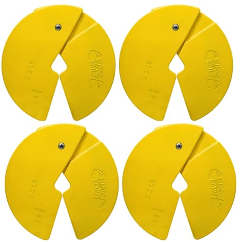 Image of Micro Gainz 2.5LB Dumbbell Fractional Weight Plates, 4-Piece