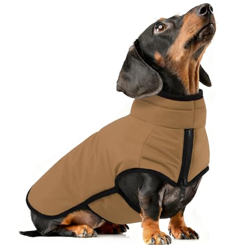 AOFITEE Hundemantel, Warme Hundewinterjacke für Kleine Hunde, Reflektierender Hundemantel mit Integriertem Geschirr, Wasserdichter Hundejacke aus Fleece mit Rollkragen für Yorkshire, West Highland