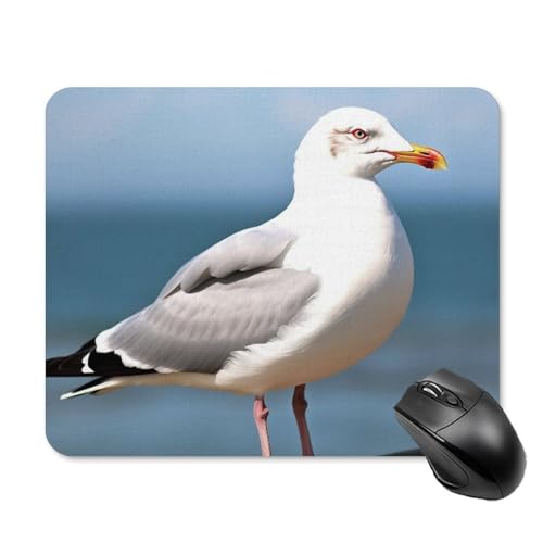 Tapis de souris carré mouette 20x25 cm en caoutchouc noir ultra fin pour PC portable