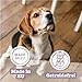 Chewies Hundezigarre Känguru - Protein Kaustangen für Ihren Hund getreidefrei & zuckerfreie Hunde-Leckerli auch für Welpen & Senior Hunde geeignet, 10er Pack (je 75g)