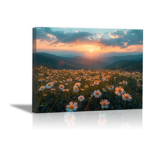Tableaux coquillages et soleil couchant pour douceur de vivre
