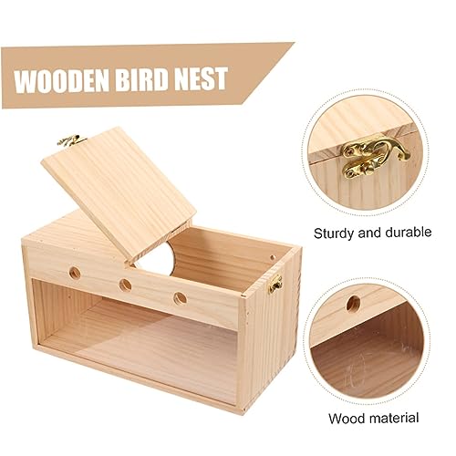 Maison d'oiseaux en bois pour observer les perruches dans le jardin