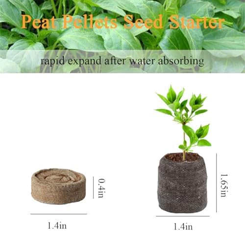 VOLINESSTI Peat Pellets 35mm 60 PCS, Seed Starter Peat, Compressed Seed Starting Pellets, Nutrient Block Potting Soil for Garden Planting, Flowers, Vegetables, Herbs - 3