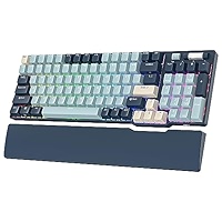 RK ROYAL KLUDGE RK96 RGB 96 Keys Wireless Mechanical Keyboard