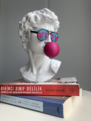 David Bust Woow Pop Art Sculpture David de Michellangelo Peint à la main 25 cm