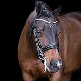 Imperial Riding Kandarenzaum IRHAthena, Black, P/S