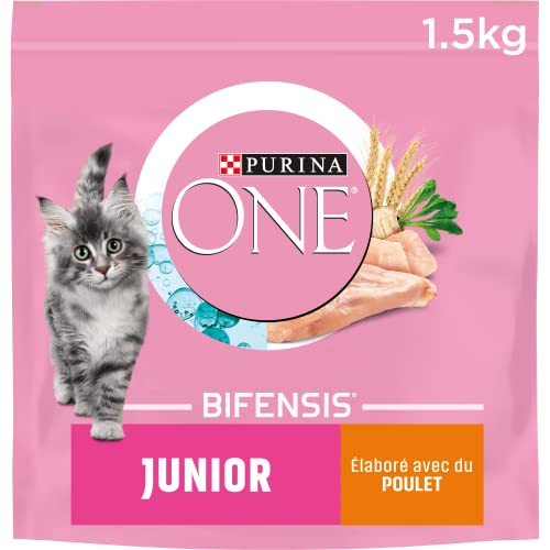 Purina ONE Bifensis Pienso para gatitos Junior Pollo y Cereales 1,5 Kg
