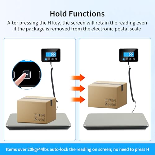 Balance électronique 200 kg avec plateau acier et écran LCD public