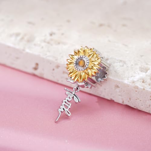 Mustard Seed Charm 925 Sterling Silver Mustard Seed Jewelry Christian Jewelry Gifts for Women3