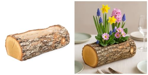 NaDeco Eichen Pflanzenschale, Länge ca. 29cm | Dekoschale zum Bepflanzen | Pflanzschale aus Eichenholz | Pflanztopf Eiche | Holzstamm zum Bepflanzen | Pflanztopf Natur