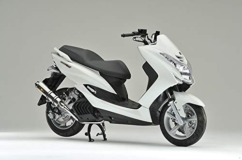 専用Realize ヤマハ アクシストリート22Racing SUSマフラー 319-009-00.jpg