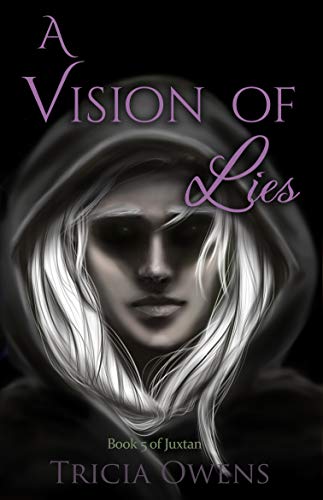 A Vision of Lies: Fantasy M/M Romance (Juxtan Book 5) (English Edition)