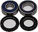 ALL BALLS WHEEL BEARING & SEAL KIT 25-1208