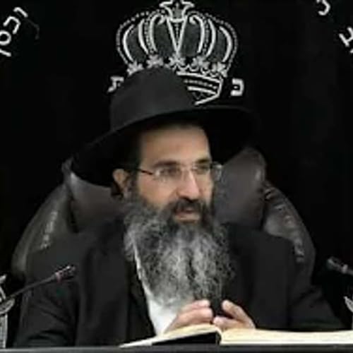 מסכת בבא בתרא - דף כג: - כד. | חלק 45 | הרב שי עובד