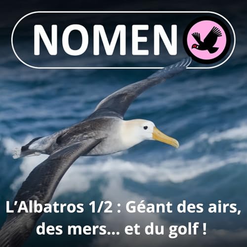 『S05E02 L'Albatros : Un géant des airs, des mers... et du golf !』のカバーアート