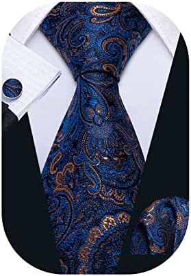 Barry.Wang Blue Gold Ties Paisley Designer Wedding Business Necktie Set Gift for Men