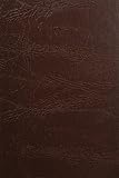 中世京都文化の周縁 (思文閣史学叢書)