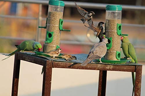 Amijivdaya-Large-Bird-Feeder-with-Holding-Handle-Green