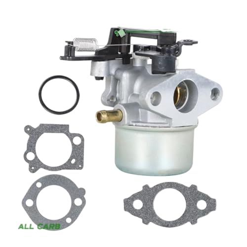 ZHWMGMD Garden Accessories Carburetor Carb for Briggs & for Stratton 594287 799248 799154 Thermostat Choke High Performance