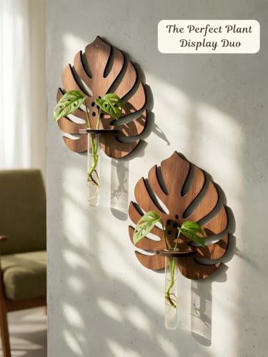Image of Bombay Greens ; Sow, grow, eat, repeat Monstera Planter with Test Tube Wooden Holder | Indoor Planter Stand | Wooden Planter for Home Decor, Living Room, Balcony & Office Decoration - Pack of 2