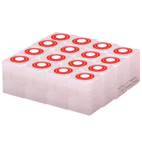 64 tabletas de bloques de alcanfor naturales, bolas de alcanfor y cubos, Kapoor sin humo para Pooja, santeria, religiosos indios y uso doméstico, Alcanfor en Bloques, artículo de puja hindú (300 g)