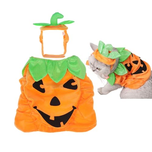 Balacoo nEBLpvLRX`[A߉\ȂʂݖXqƈߑZbgAIWAʔybgnEBRX`[LƏ^p