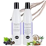 Healthy Hair Plus Fungus Shampoo and Conditioner- Itchy Scalp Shampoo - Helps Reduce Inflammation- Helps to Reduce Scalp Irritation