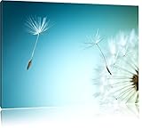 Pixxprint Löwenzahn Pusteblume als Leinwandbild/Größe: 80x60 cm/Wandbild/Kunstdruck/fertig bespannt