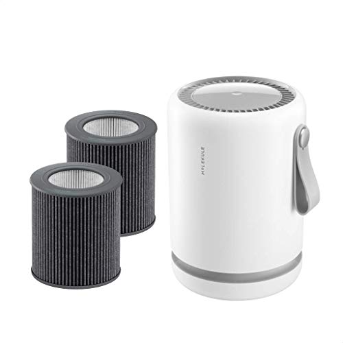 Molekule Mini Air Purifier