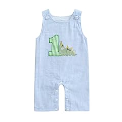 B 1st Birthday Dinosaur Sky Blue