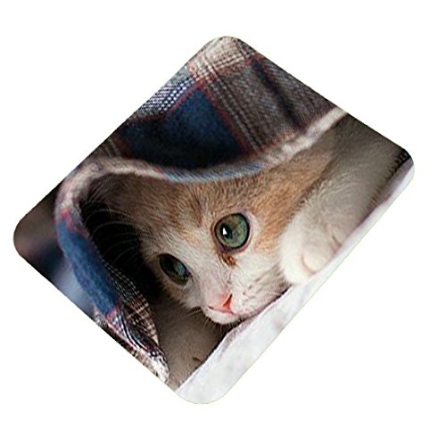 Image of Cat Soft Design Printed Rubber Base Mat Finish Mouse Pad for PC /Laptop - Multicolor