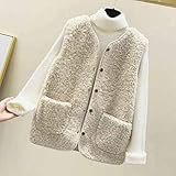 JJZXD 春の女性のベストの秋と冬のソフトの毛皮のオールマッチ緩いベストノースリーブジャケットの女性 (Color : A, Size : L code)