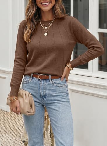 Image of SHEWIN Womens Sweaters 2026 Casual Crewneck Long Sleeve Lightweight Knit Pullover Sweater Tops Fall Clothes