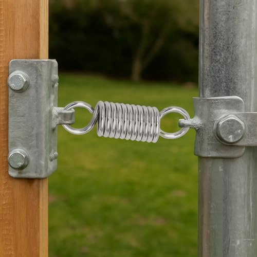 ALLY-MAGIC Zugfedern mit Haken, Edelstahl Zugfeder 40mm, Druckfedern, 2 Stück Spannfeder für Werkzeuge Geräte Handwerkzeuge Auto E21-LSTH