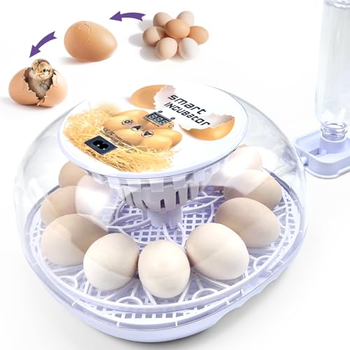 12 Egg Incubators for Hatching Eggs | with Auto Egg Turner, Temp & Humidity Control | 360° Viewing for Chicken, Duck, Quail Eggs | Ideal for Farm, School, Home