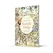 A Visit to Brambly Hedge: An illustrated companion to the world of Brambly Hedge, perfect for collectors and fans of Jill Barklem!