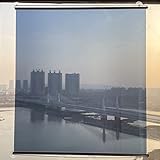 LJBP Lamellenjalousien Einseitiger Durchblick Privatsphäre Rollo, Sonnenschutz reflektierend Isoliervorhang mit Saugnäpfen, Schlagfrei (Size : 73cmx150cm)