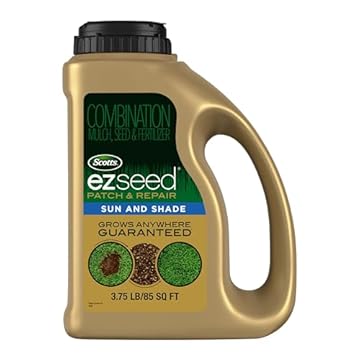 lawn fertilizer with seed