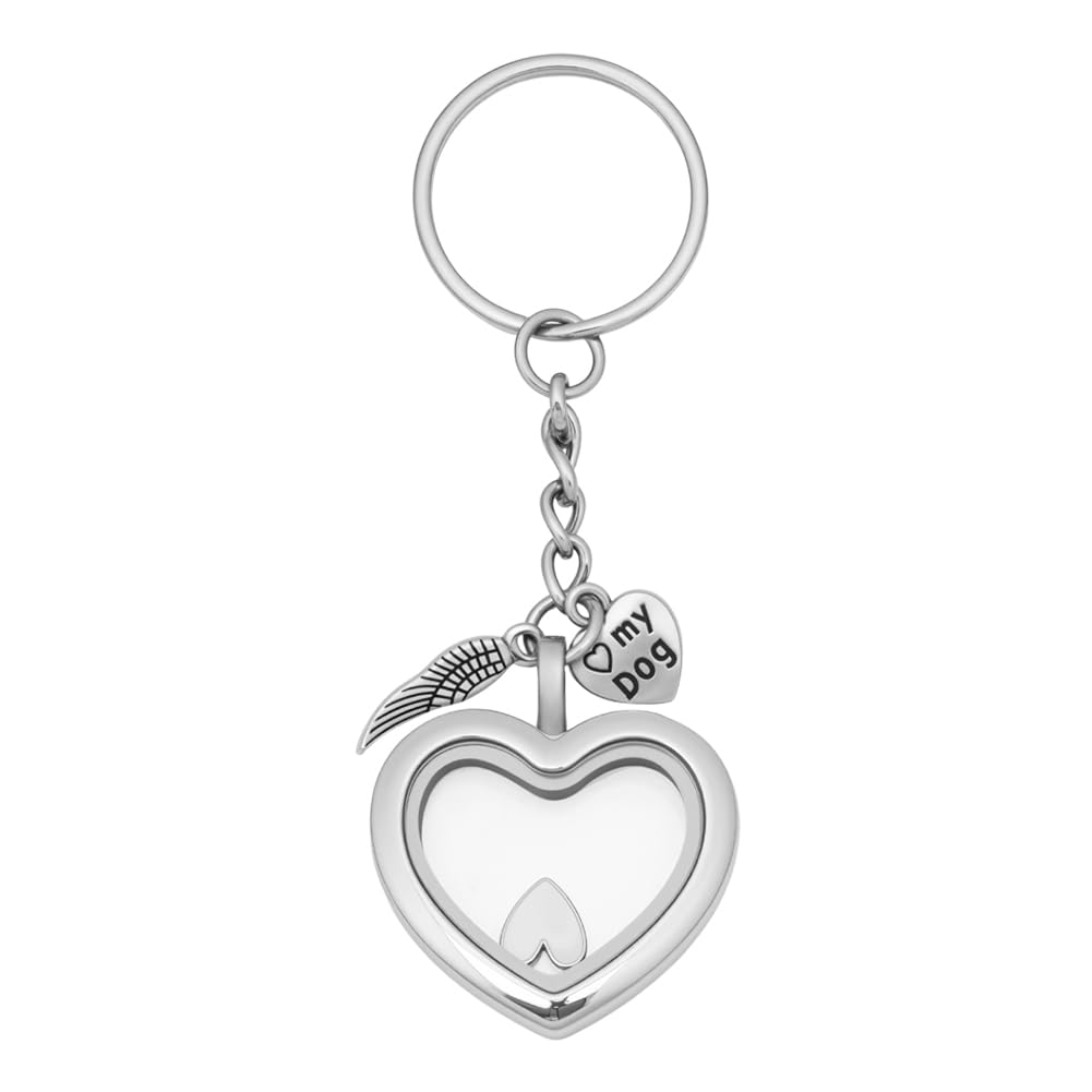 DELORIGIN Pet Hair Memorial Keychain Pet Fur Ashes Keepsake Keychain Clear Glass Locket Keyring with Heart Pendants Cat Dog Urn Picture Memorial Jewelry for Loss of Dog Sympathy Gift
