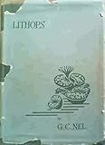  Lithops. Plantae succulentae, rarissimae, in terra obscuratae, e familia Aizoaceae, ex Africa australi.