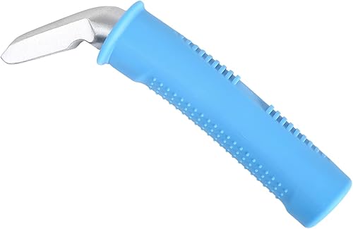 Auto Cane - Manija de soporte portátil para vehículo, barra de asistencia para puerta de automóvil, soporta hasta 300 libras, manija de puerta de