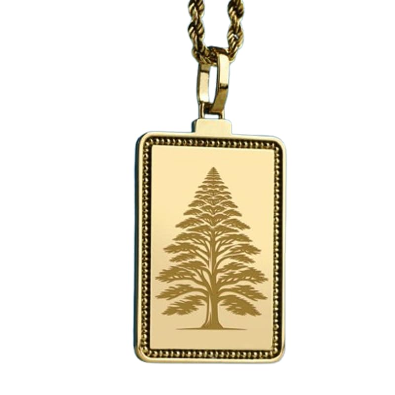 Collier chaîne maille forçat argent 925 doré anti-oxydation durable