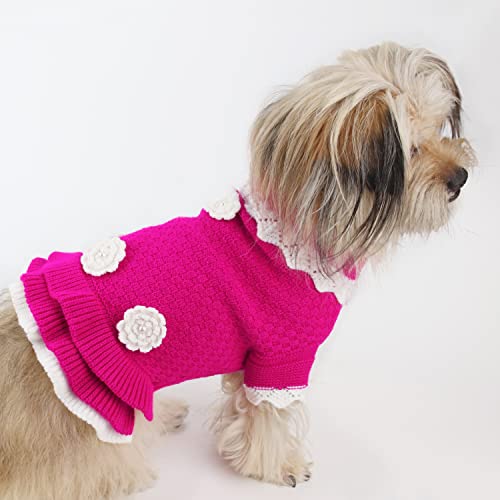 Joytale Maglioncino Cane, Caldo Maglione per Cani